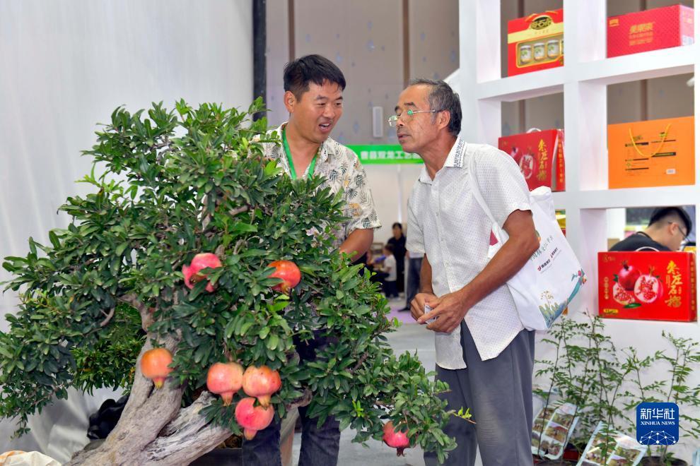 波克捕鱼的信任安全中心在哪儿